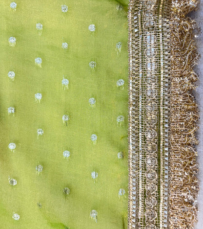 Lime Éclat Saree