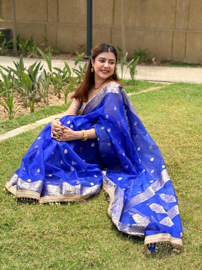 Noorani Tissue Saree (Blue)