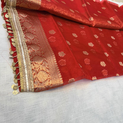 Noorani Tissue Saree (Red)