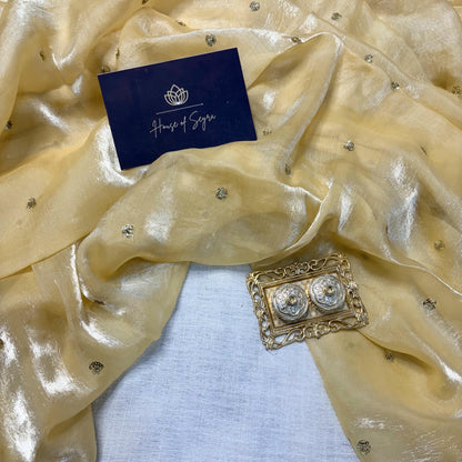 Moonstone Mist Saree