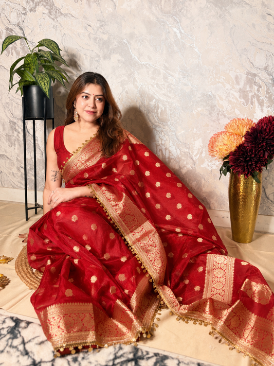 Noorani Tissue Saree (Red)