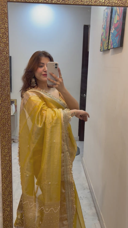 Pearl Banarasi Tissue Silk Saree (Gold)